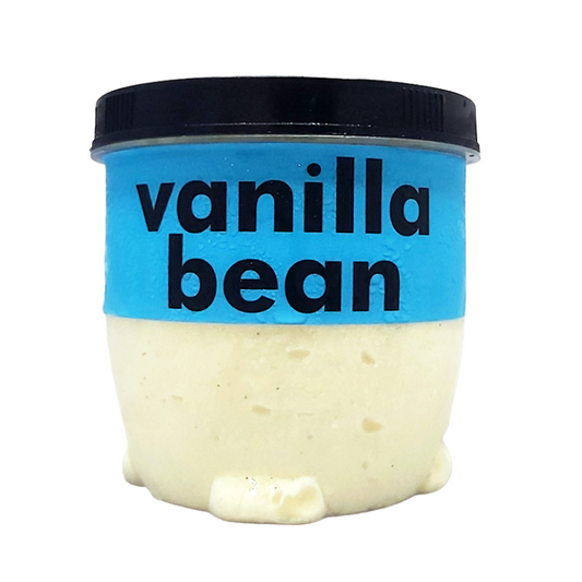 Vanilla Bean Ice Cream - XUGR